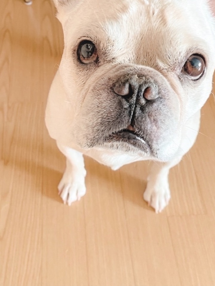 루이 올려다보기